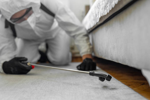 Professional Cockroach Control technician working in Tucson Mountains, AZ